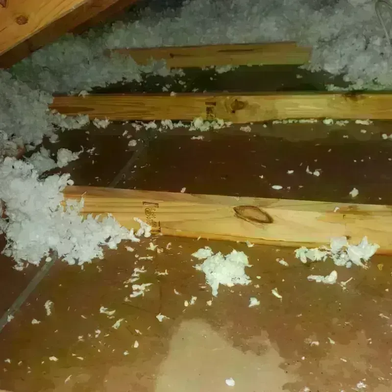 Attic Water Damage in Hainesville, IL