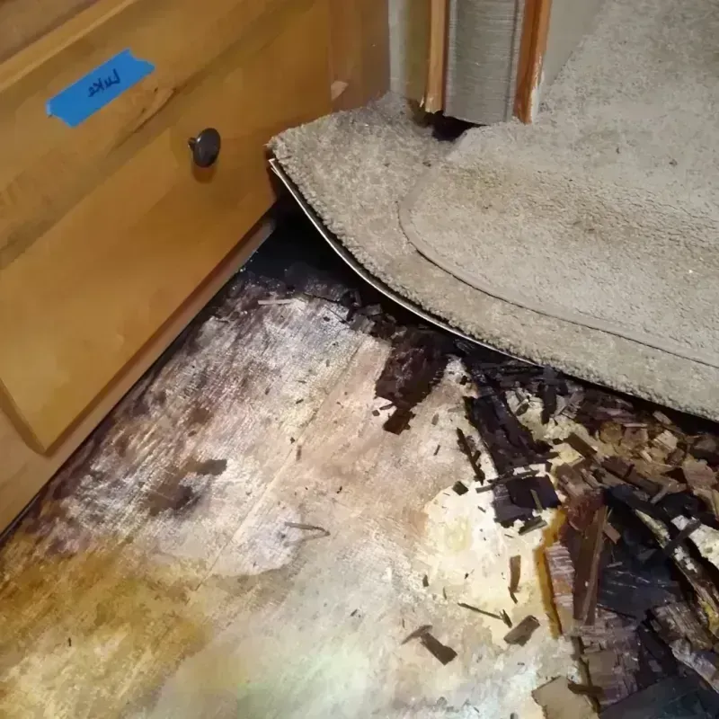 Wood Floor Water Damage in Hainesville, IL